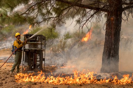 Firefighters conducting burnout operation