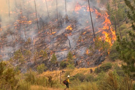 Firefighters conducting burnout operation