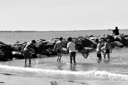 pêche aux crabes photo