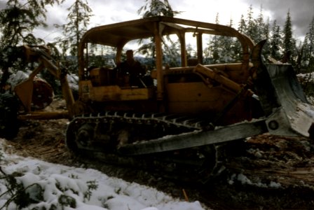 Mt Hood National Forest, timber harvest.jpg