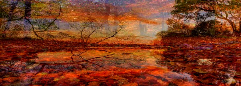 l'autunno riflesso