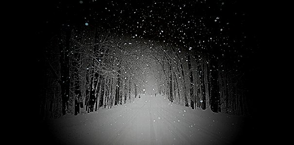 flakes in the forest