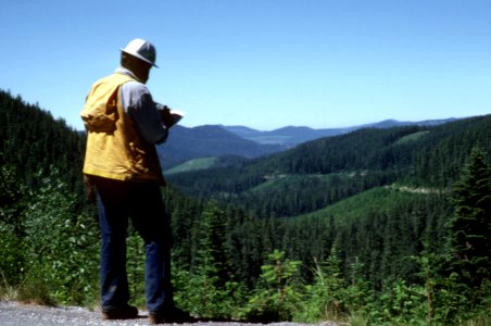 Mt Hood National Forest, silviculture-2.jpg