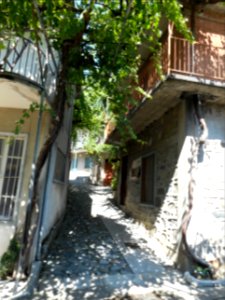 Alona & Polystipos, Cyprus