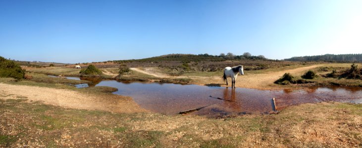 The Valley of Horses