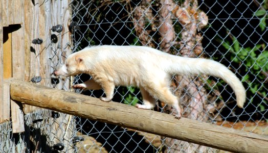 Wingham Wildlife Park
