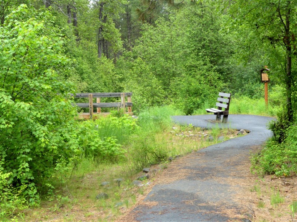 Colville NF log flume trail June 2020 by Sharleen Puckett 3