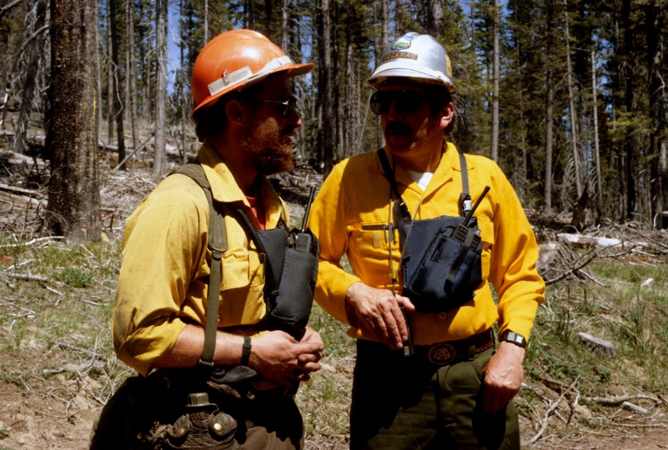 Logging slash burning-9.jpg