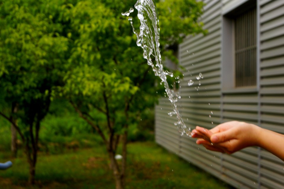 DSC02332