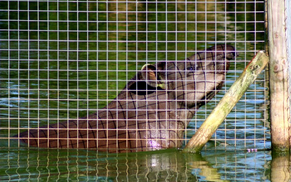 Wingham Wildlife Park