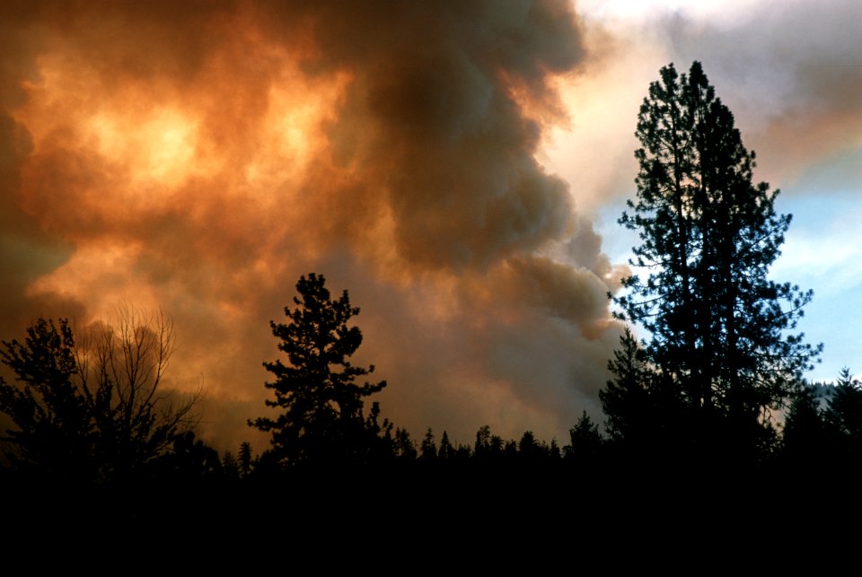 114 Rogue River-Siskiyou National Forest Biscuit Fire