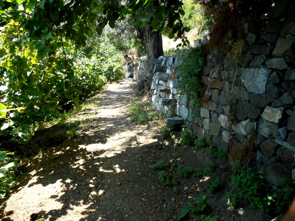 Alona & Polystipos, Cyprus