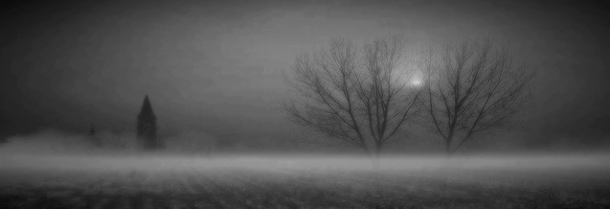 la nebbia