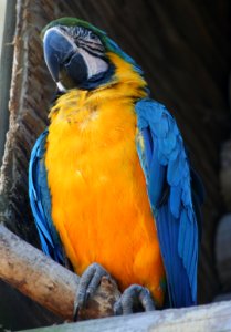Wingham Wildlife Park
