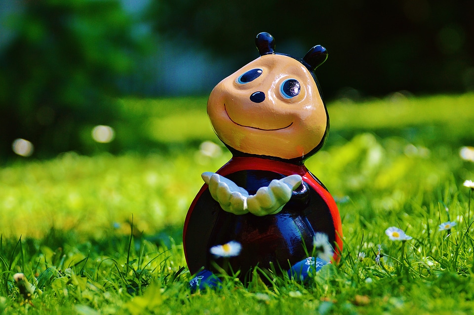 Lucky ladybug color sweet