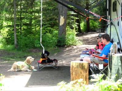 Big Meadow Lake Campground campers dogs June 2020 by Sharleen Puckett photo