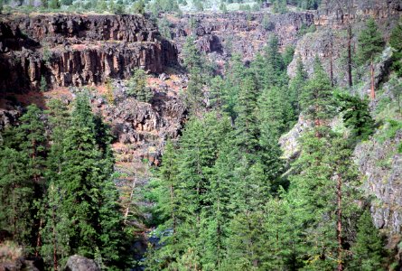 Deschutes National Forest, Mill Creek, Confederated Tribes of Warm Springs.jpg photo