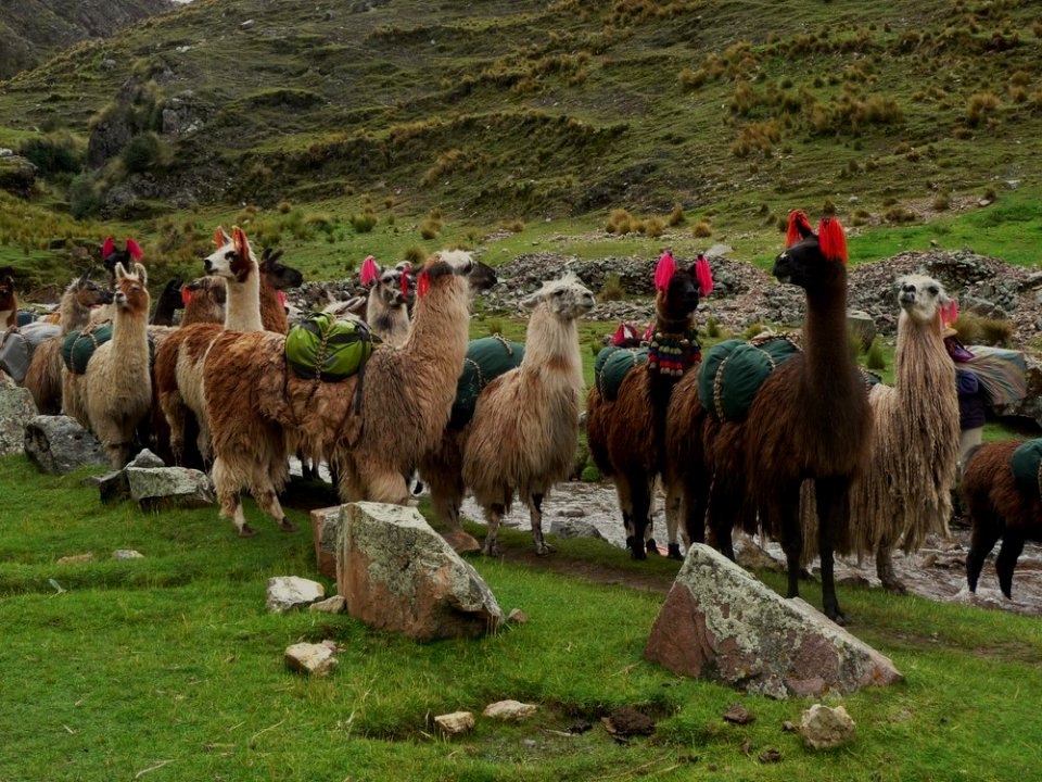 CHOQUEQUIRAO, la nueva maravilla, Cusco Perú