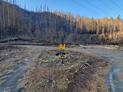 Lazy Bend Campground after Riverside Fire, Mt. Hood National Forest
