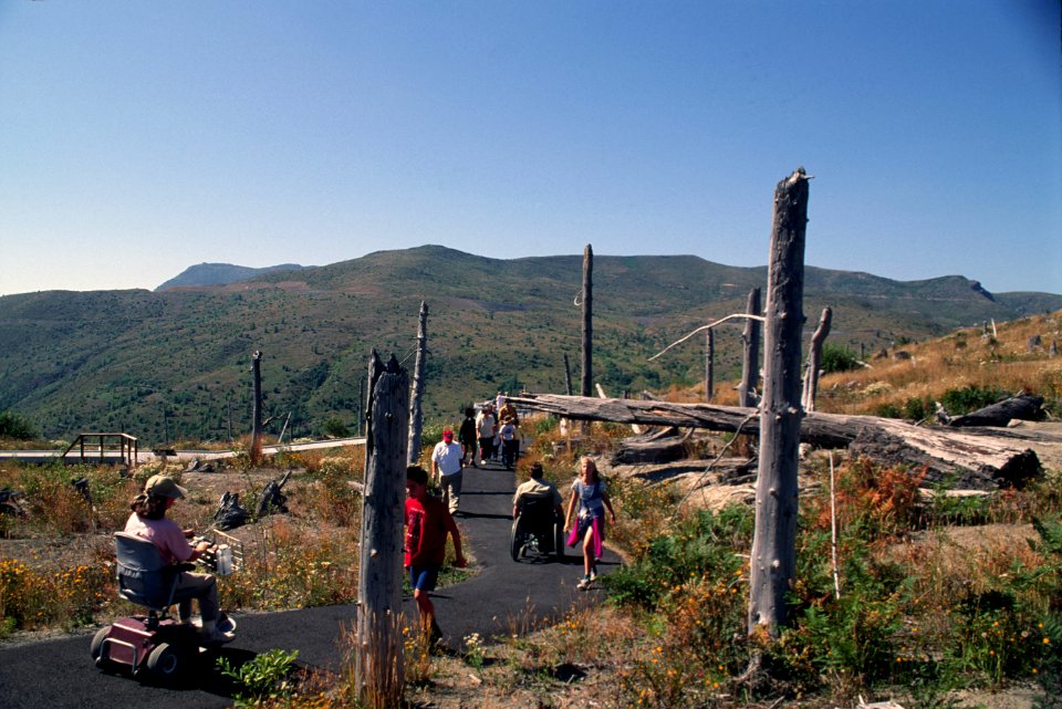 Gifford Pinchot National Forest, Mt St Helens NVM, Coldwater Ridge paved trail.jpg
