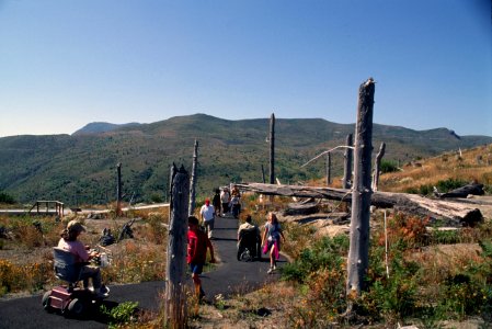 Gifford Pinchot National Forest, Mt St Helens NVM, Coldwater Ridge paved trail.jpg