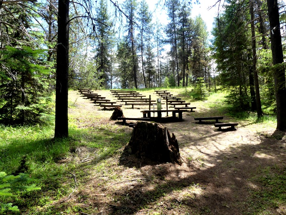 Colville NF Gillette Lake Campground June 2020 by Sharleen Puckett 18