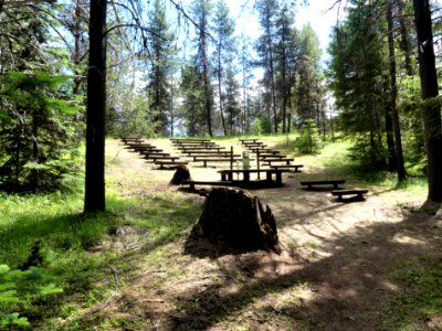 Colville NF Gillette Lake Campground June 2020 by Sharleen Puckett 18