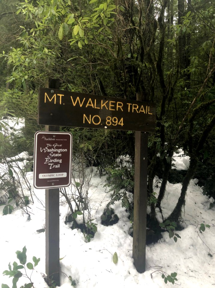 201902 FS Olympic Mt Walker Trailhead