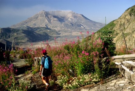 Gifford Pinchot National Forest, Mt St Helens NVM, blast zone, Bear Pass-2.jpg photo