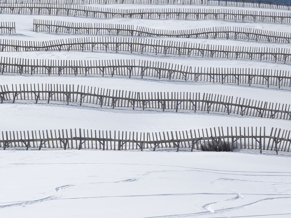Winter snow snowy