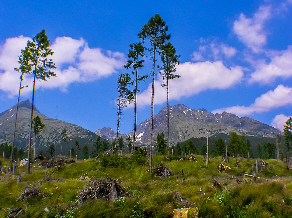 Apocalypse mountains trees