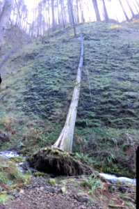 20181205 CRGNSA LarchMtn Wahkeena loop by Alexa Pengelly