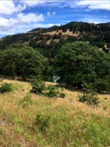 20190620 CRGNSA Along Balfour-Klickitat Trail by Alexa Pengelly