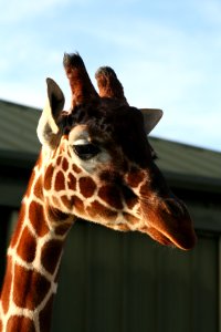 IMG 9027