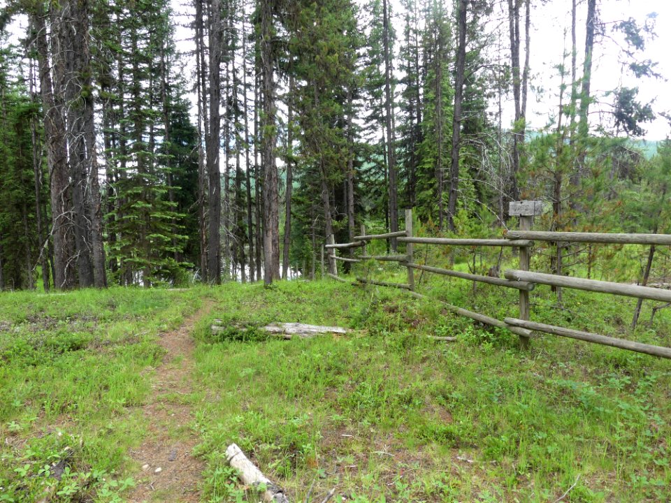 Colville NF Frater Lake June 2020 by Sharleen Puckett 20