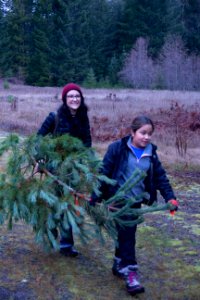 Two people carry a tree at a holiday tree outing at Gifford Pinchot National Forest, November 2018.  Photo by Sandy Burks.