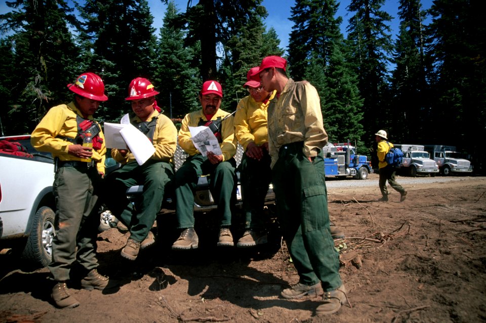 276 Shasta-Trinity National Forest, MHRD Fire