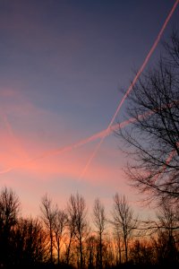 IMG 0546