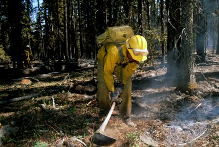 180 Ochoco National Forest Hash Rock Fire