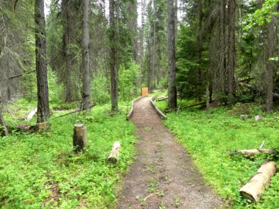 Colville NF Frater Lake June 2020 by Sharleen Puckett 18