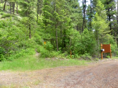 Colville NF - 10-mile campground trailhead - June 2020 - Sharleen Puckett