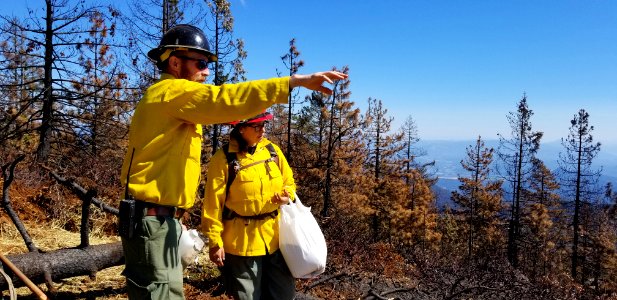 Straw and Seed Repair, Klondike Fire