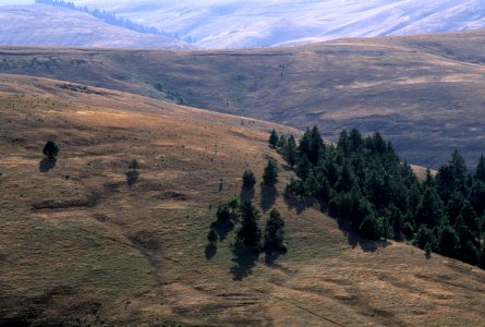 Ukiah, Umatilla National Forest.jpg