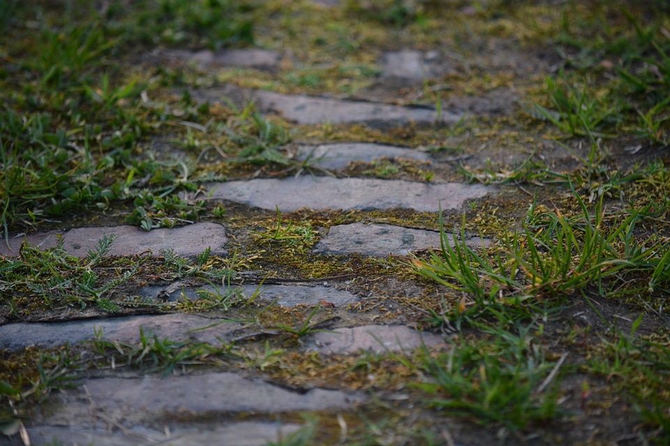 Alter weg stones nature