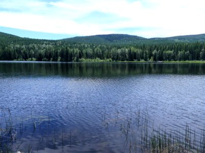 Colville NF Big Meadow Lake Trail lakeview 2 June 2020 by Sharleen Puckett photo