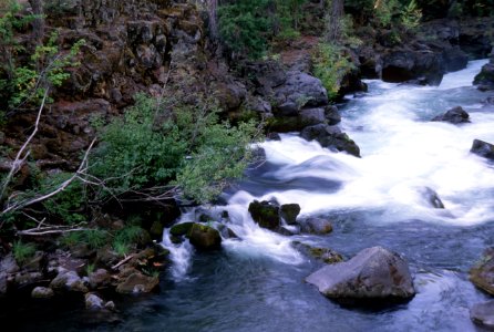 River Rapids, Rogue River-Siskiyou National Forest.jpg photo