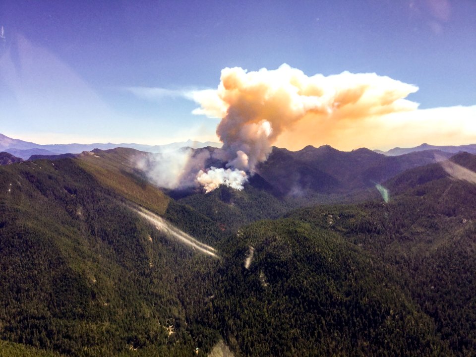 Beachies Creek Smoke from Helicopter Willamette National Forest