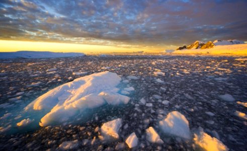 13.A Antártica é o quinto maior continente.  A sua área é igual 14,0 milhões de quilômetros quadrados.