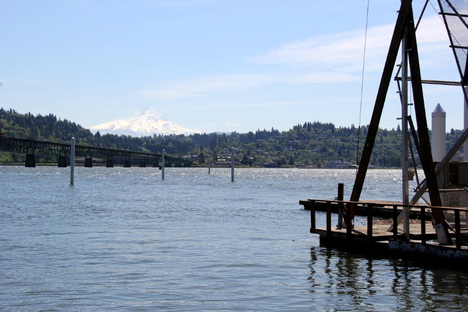 Mount Hood, Columbia River Gorge - Mt. Hood National Forest. Photo by Ella Carter