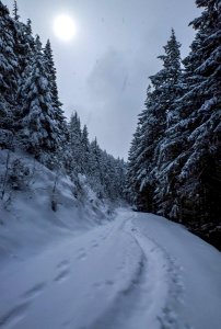 201903 Mt Walker Road Photo Courtesy of Dave Smith